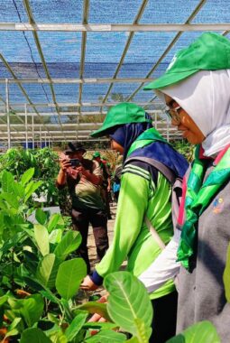 berita-rekomendasi-foto