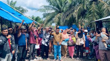 Dituding Abaikan Penyitaan Negara, PT SIS Disorot; Masyarakat Adat Sakai Minta Ketegasan PT Agrinas