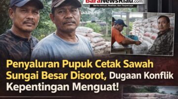 Penyaluran Pupuk Cetak Sawah Sungai Besar Disorot, Dugaan Konflik Kepentingan Menguat