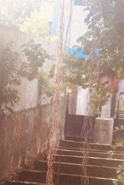 berita-rekomendasi-foto