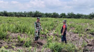 Cegah Karlahut Saat Kemarau, Babinsa Koramil 04/Kubu Giat Patroli Temapt Rawan Kebakaran.
