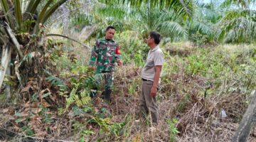 Cegah Karhutla, Personil Koramil 04/Kubu Patroli Lahan.
