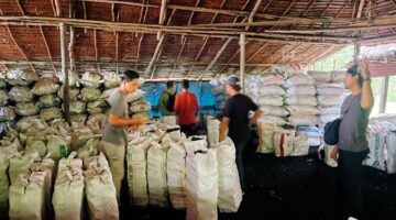KAPOLDA RIAU PIMPIN UNGKAP PERUSAKAN MANGROVE, 100 TON ARANG ILEGAL TUJUAN MALAYSIA DIGAGALKAN 