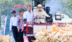 berita-pilihan-foto