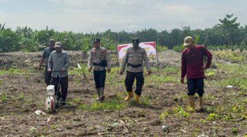 Perkuat Ketahanan Pangan, Bhabintamtibmas Polsek Kubu Cek Persiapan Lahan Tanam Jagung Seluas 2,5 H.