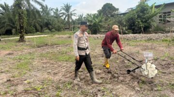 Dukung Program Asta Cita, Polsek Kubu Res Rohil Tanam Jagung 2,5H.