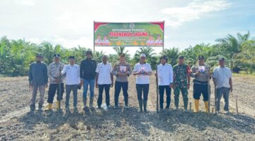 Perkuat Ketahanan Pangan Nasional, Polsek Kubu Tanam Jagung Seluas 2 Hektar Di Teluk Piyai.