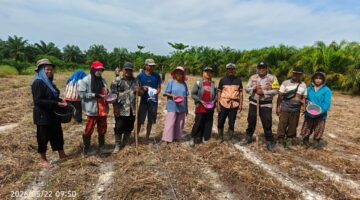 Polsek kubu Perluas Lahan Tanam Jagung 0,5 H Di Teluk Piyai.