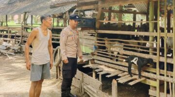 Bhabinkamtibmas Sabak Auh Sosialisasikan Cegah Karhutla Saat Sambangi Peternak Sungai Tengah