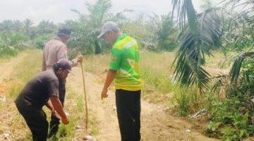 Gotong Royong Polsek Kampar Kiri Hilir dan Petani Koto Damai Tanam Jagung Tumpang Sari 0,5 Ha