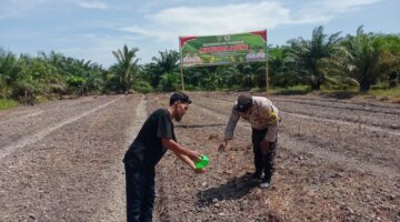 Pantau Perkembangan Lahan Jagung Didua Lokasi, Polsek Kubu Perluas Pengawasan