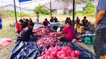 Masjid Baitu Rohim Sembelih 8 Ekor Sapi, Warga Bandarraya Rayakan Idul Adha 2026 dengan Semangat Gotong Royong