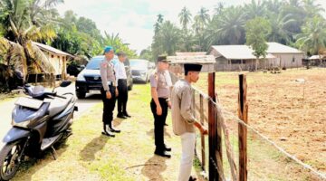 Dari Bhayangkara Jadi Penggerak Pangan: Kapolsek Cerenti Cek Langsung Lahan Jagung Binaan di Sikakak