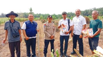 Modal Dana Swadaya, Kapolsek Kampar Kiri Hilir Turun Tanam Jagung Ramoro 0,5 Ha
