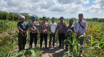 Polsek Kubu Cek Lahan Ketahanan Pangan Kwartal II 2026: Tanaman Berbuah Baik Dan Menjanjikan.