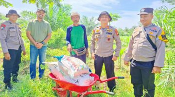 Negara Hadir di Sawah: Polsek KKH Serahkan Pupuk NPK-UREA, pastikan Jagung Bangun Sari Tumbuh Subur Demi Swasembada Pangan