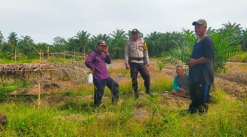 Polsek Kubu Bersama Kelompok Tani Pantau Perkembangan Tanaman Cabai Dan Sayuran.