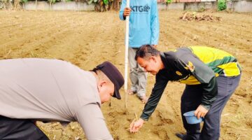 Bhabinkamtibmas Bersama Petani Tanam Jagung di Desa Lubuk Sakai