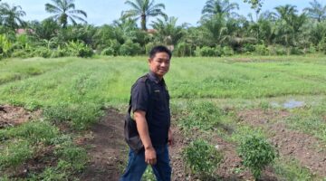 Wujudkan Ketahanan Pangan, Polsek Kubu Lakukan Pemantauan Rutin Tanaman Cabai.
