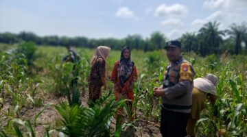 Polsek Kubu Pantau Kesiapan Lahan Tanam Jagung Kuartal II 2026 Guna Dukung Ketahanan Pangan.