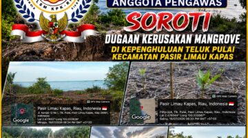 Diduga Terjadi Kerusakan Bibit Mangrove Di Teluk Pulai, LSM KPK RI Ingatkan Pentingnya Perlindungan Kawasan Pesisir Dan Penegakan Hukum.