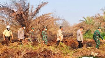 Pastikan Penanganan Tuntas, Kapolda dan Pangdam Cek Karhutla Siak